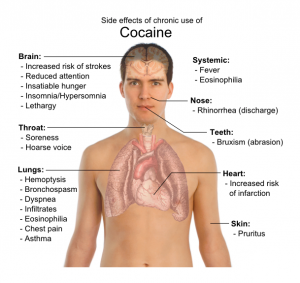 cocaine effects 