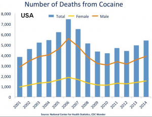 cocaine stats