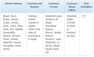 marijuana facts 